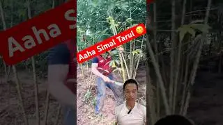 Yasto Mitho Simal Tarul #satisfying #food #farming #agriculture #villagelife #viralvideo #shorts