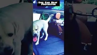 Dog Car Seat Protector 🚗 Keep Your Car Clean & Dog Safe | Best Pet Travel Gear 2025 | #shorts #pets