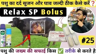 Relex SP Bolus | दर्द सूजन और घाव को कैसे ठीक करें | Deepak PharmacisT Vet