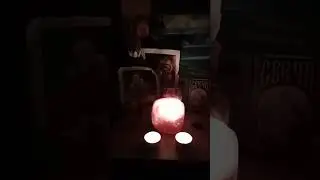 Wolfis Gedanken
