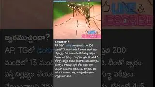 జ్వరం వచ్చిందా? 🤒 #fever #healthcaretelugu #health #healttips