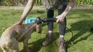 NEW Mud Daddy Power Brush!