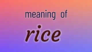 Rice - 91 English Vocabulary Flashcards