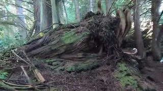 Malcolm Island camping  Hike 2 (to Malcolm Point) sept 13-17