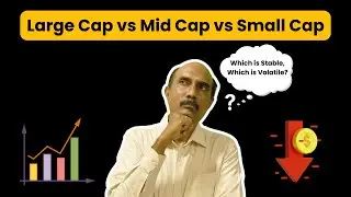 Large Cap vs Mid Cap vs Small Cap: Which is Stable, Which is Volatile? |Holistic Investment