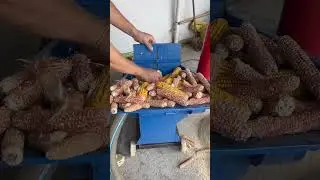 The new grinder can directly grind corn cobs! #All-rounderCut Grass, Knead and Grind All-in-One