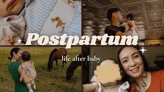 From Newborn to One | A Parenthood Reflection