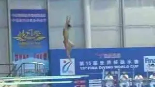 2006 world cup chong he 5353b 3m
