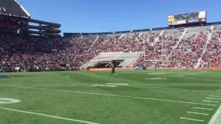 Auburn AL A Game Halftime Show - Stunt Dog Productions