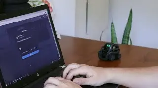 Vector Robot Knows His Own Updates | Feature Friday Update