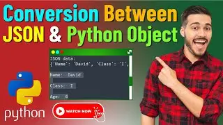 Easy and Effective Ways to Conversion Between JSON and Python Object