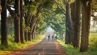 Relaxing Country Folk Music with Farm Vibes for Relaxing or while driving