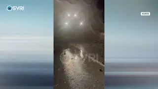 Pak or&euml; reshje shiu, p&euml;rmbytet Shqip&euml;ria