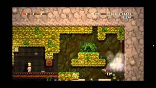 Spelunky - Queen Bee