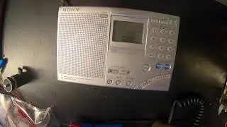 livestream test
