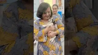Bruno#at#vet#cute#endearing#furry#angel#blessed#to#meet##youtube