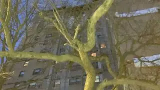 Aftermath of fire at Boston Secor Houses NYCHA complex in The Bronx Saturday, Jan. 24, 2026.