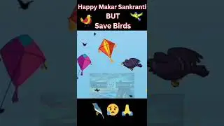 Happy Makar Sankranti BUT Save Birds🐥🙏 