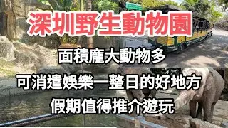 遊深圳野生動物園，大量不同品種既野生動物比您欣賞，一天內可觀看獅子老虎大象，仲有多種動物可近距離接觸，值得一遊！