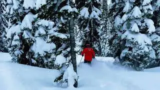 Blower Powder in the Bobbie Burns in Canada with CMH Heli Skiing