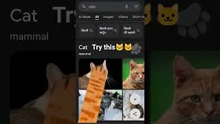 trending cat meow meow🐱#cat #cats #meow #trending #trend