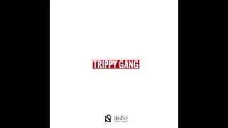 TrippyGang - T.G. (2016)