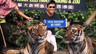 worldventures success stories bootcamp