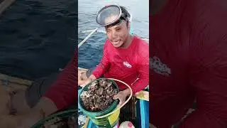 pangunguha ng tipay tipay sa payaw sa laot 
