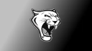 Viborg-Hurley Cougars