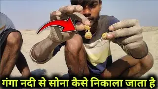 गंगा नदी सूखने पर देखिए कैसे निकालते हैं सोना चांदी और सिक्के..💰
