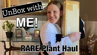 UnBox with ME! ||Rare Plant Haul|| Imported plants from Thailand!