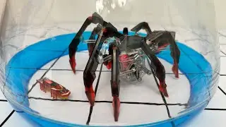 Hex Bots Tarantula & Nano flash Toys Unboxing & Review