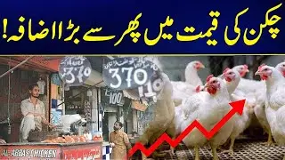 Big Increase In Chicken Prices Again | Rate List | Breaking News | City 41