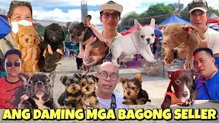 DINADAYO NA ANG GROTTO NG MGA SELLERS | GROTTO PET MARKET UPDATE | JUNE 30, 2024