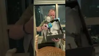 Unboxing Kaws The Promise  Vinyl Figure from Dadu Gardens Qatar INQ Online KawsOne Companion Toy
