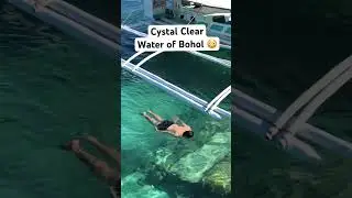 Amazing Crystal Clear water of Bohol #fyp  #travel  #travelgoals  #travelling  #philippines