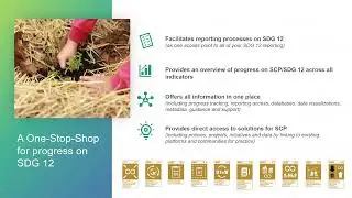 Webinar on the outcome of 2020/2021 data collection exercise for SDG Indicator 12.7.1