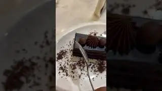 Belgium chocolate truffle #chocolatetruffle #belgium #shorts #shortsvideo #shortvideo #youtubeshorts