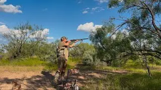 Opening Day of DOVE SEASON 2025 !!!!!