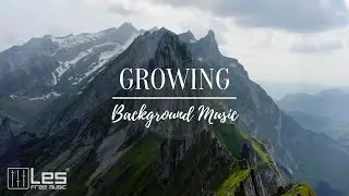 Growing : Orchestral Cinematic Lounge Background Music