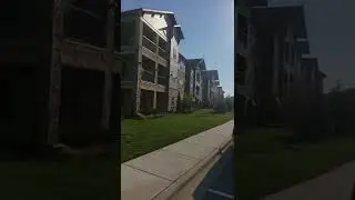 Tree Doctor Video 11