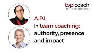 top!team - the API model: authority, presence and impact - a team coaching discussion