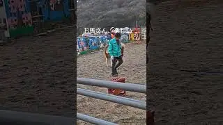8才の初体験🐎