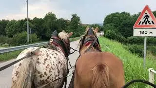 In carrozza!!!