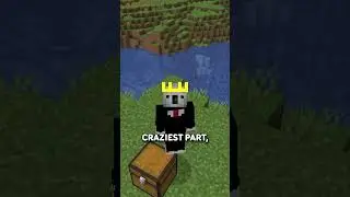 You've NEVER Heard This Sound Effect In Minecraft...