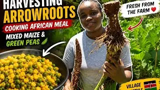 Traditional Village Cooking | Githeri 🫛🌽& Harvesting  Fresh Arrowroots
