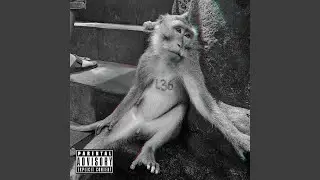 Lounge Rap