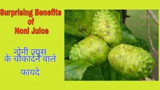 Top 10 Benefits of Noni Juice | How to prevent Diabetes, Cholesterol & other diseases