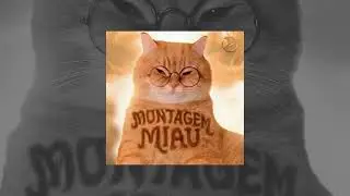 Miau miau montagem || new song 2026 brazil funk 👿