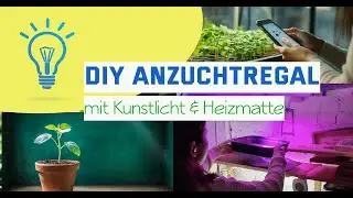Anzuchtstation DIY im Keller: Mit Licht, Heizmatte & meine Tipps